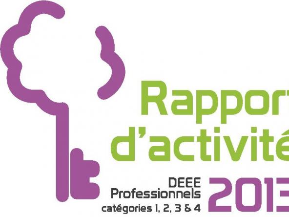 Rapport d'activité 2013 pour les DEEE pro
