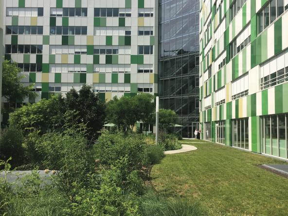 Rapport annuel d'activité 2017