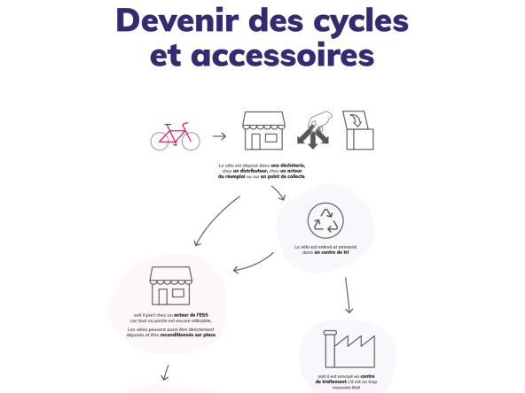 Infographie Que deviennent les cycles version du 19 octobre 2023 (coquille