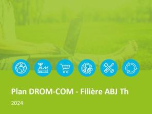 Plan DROM-COM ABJ 2024
