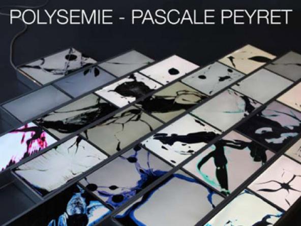 Nuit Blanche 2012, Pascale Peyret présente Polysémie